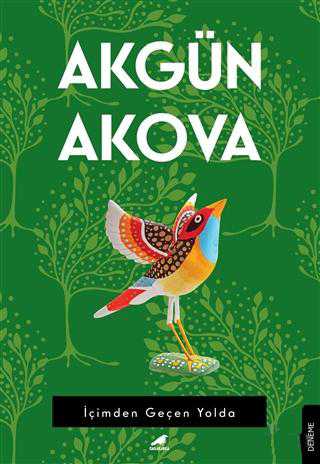İçimden Geçen Yolda - Akgün Akova