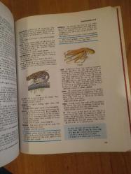 DICTIONARY FOR CHILDREN