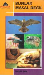 BUNLAR MASAL DEĞİL - Sedir Sahaf