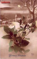 BONNE ANNEE / GÜZEL MANZARALI YABANCI KARTPOSTAL...