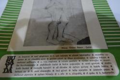 VARLIK DERGİSİ SAYI.880 OCAK 1981