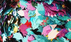 Pul Payet Lale Şeklinde Resim Kolaj El  Sanatları İncik Boncuk Süsleme ve İşleme Malzemesi