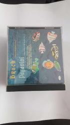 Bruch - Violin Concerto No. 1  Paganini  Concerto For Violin No 5