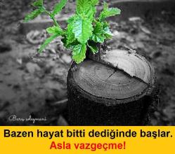 Ateş Sahaf