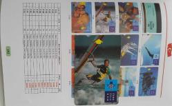 1991 TATİL RÜZGAR SÖRFÜ ÖRNEK ORİJİNAL TELEFON KARTI 2010 KATALOK,RRRR 1RR2AA