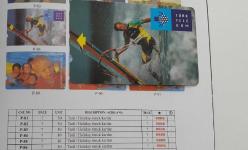 1991 TATİL RÜZGAR SÖRFÜ ÖRNEK ORİJİNAL TELEFON KARTI 2010 KATALOK,RRRR 1RR2AA