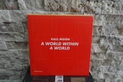 RAUL MIDON - World Within a World - CD