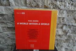 RAUL MIDON - World Within a World - CD