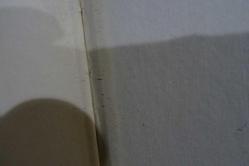 Calcolo Algebrico e rappresentazione grafica di funzioni