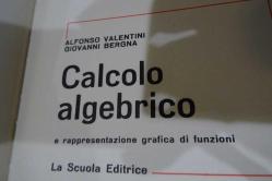 Calcolo Algebrico e rappresentazione grafica di funzioni