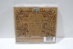 Plain White T's - Every Second Counts CD