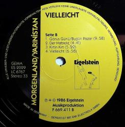 12A-0123 - Morgenland / Yarınistan - Vielleicht - LP 33 Devir PLAK PROTEST MÜZİK