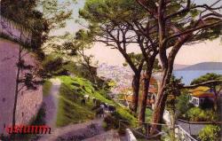 Efemera - OSMANLI DÖNEMİ ÜSKÜDAR AĞAÇLAR KARTPOSTALI.... - kitantik - kitaLog