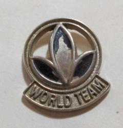 R25-----WORL TEAM ESKİ ROZET