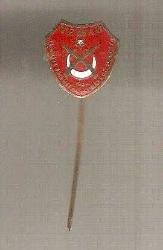 R4--TEMAD -TÜRKİYE EMEKLİ SUBAYLAR DERNEĞİ ROZET