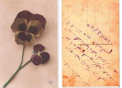 KRT115---ÇARLIK KARTI OSMANLICA YAZILI