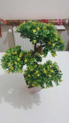 Antika - Plastik Bonsai Çiçek - kitantik - kitaLog