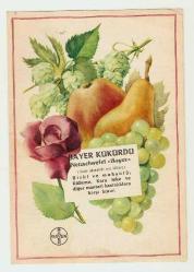 BAYER KÜKÜRDÜ KONULU ESKİ ORİJİNAL BROŞÜR...