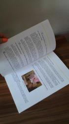 MESLEKİ GELİŞİM- İŞ ORGANİZASYONU  MODÜLÜ