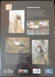 GEDİZİN KUŞLARI - CENNETE DAVET - DVD