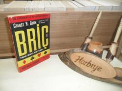 BRİÇ BRİÇ NASIL OYNANIR - YENİ SAYI METODU