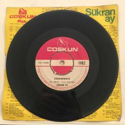 Şükran Ay - Kısmetimiz bu kadarmış / Esrarengiz / 45'lik plak