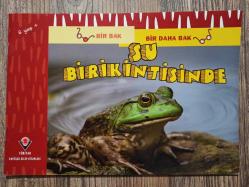 Bir Bak - Bir Daha Bak • SU BİRİKİNTİSİNDE