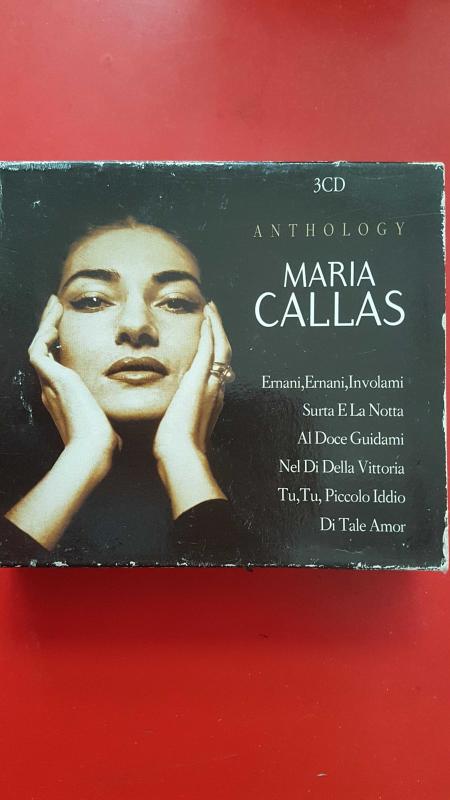 who inherited maria callas fortune - Ilustrasi 3