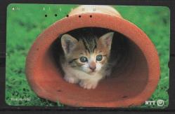 20629 YAVRU KEDİ TEMALI JAPONYA TELEFON KARTI