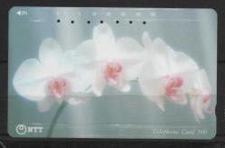 20610  JAPONYA TELEFON KARTI ORKİDE