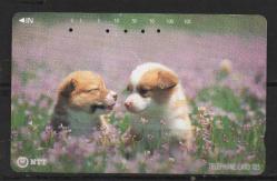 20642 YAVRU KÖPEK TEMALI JAPONYA TELEFON KARTI