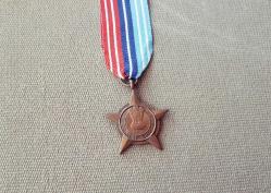 Efemera - HİNDİSTAN - PAKİSTAN SAMAR SEVA STAR ASKERİ SAVAŞ MADALYASI B5170 - kitantik - kitaLog