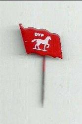 DOĞRU YOL PARTİSİ BAYRAK FORMUNDA ROZET...