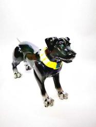 Transformers Robot Köpek - Oyuncak Figürü