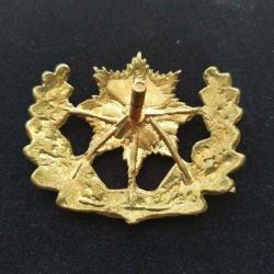 Pirinç Polis Kokartı