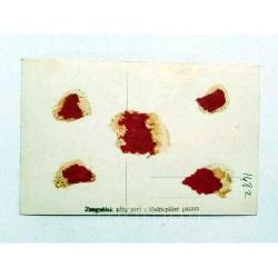 Zonguldak - Satış yeri : Mektepliler Pazarı, Foto Nazım / Fotokart