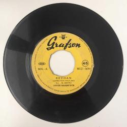 Ayfer Başıbüyük - Reyhan / Bir zamanlar bir yar vardı / 45'lik plak