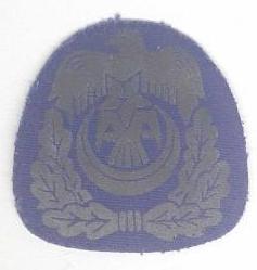 Türk Hava Kuvvetleri Peçi Nadir Eski Tip