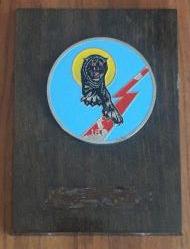 Türk Hava Kuvvetleri 181. Pars Filo Şilti Nadir