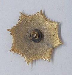 Polis Kokartı Eski Tip