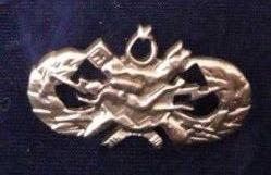 Deniz Kuvvetleri SAT SAS Brövesi