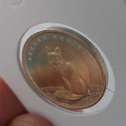 2015 BİR 1 TÜRK LİRASI ANKARA KEDİSİ HATIRA PARASI ÇİL kk1ee2