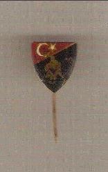 TÜRKİYE GÜREŞ FEDERASYONU ROZETİ...