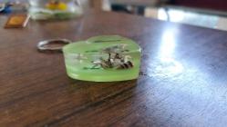 EPOKSİ İÇERİSİNE YERLEŞTİRİLMİŞ KÜÇÜK YENGEÇ VE KÜÇÜK DENİZ KABUKLU ANAHTARLIK (KALP ŞEKLİNDE)