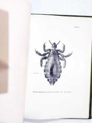 Insects Of Medical Importance / John SMART- Kitap