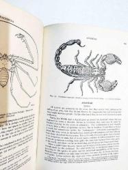 Insects Of Medical Importance / John SMART- Kitap