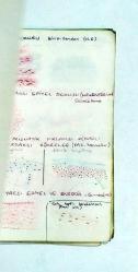 Histoloji Laboratuvar Defteri / Tarsa Kağıt ve Defter Sanayii - İstanbul Tıp Fakültesi