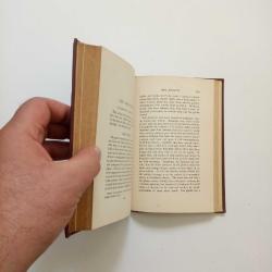 THE SHORT-STORY (2. EL)