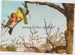 Kış ve Doğa Temalı Simli Kartpostal 2 / Emniyet Basımevi