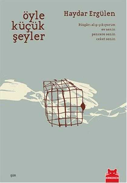 Öyle Küçük Şeyler - Haydar Ergülen